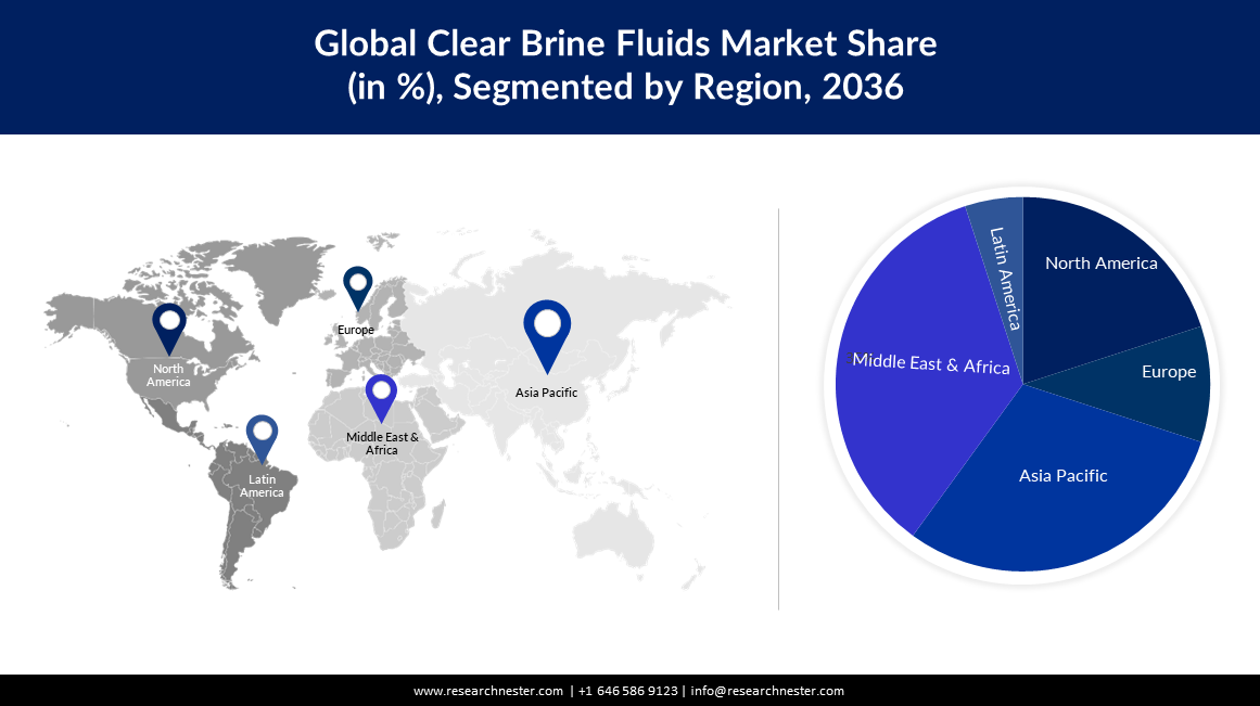 /admin/report_image/Clear Brine Fluids Market Size.webp